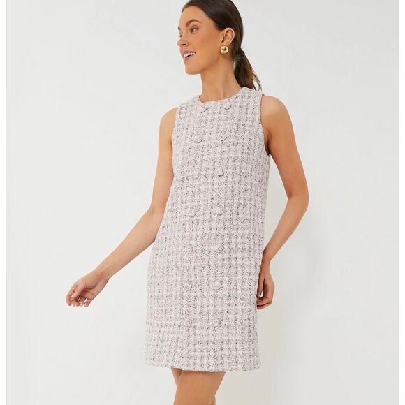 Tuckernuck Dresses & Skirts - TUCKERNUCK Pomander Place Etherial Pink Tweed Bianca Dress NWT Size XL